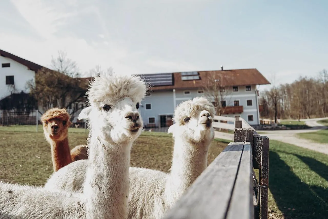 Ferienhof Petermuehle Urlaub Mit Alpakas Amerang Apartment