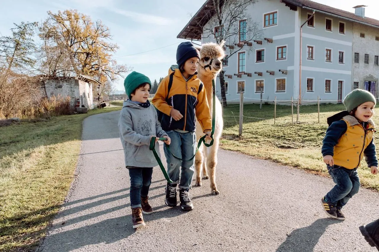 Ferienhof Petermuehle Urlaub Mit Alpakas Amerang Germany