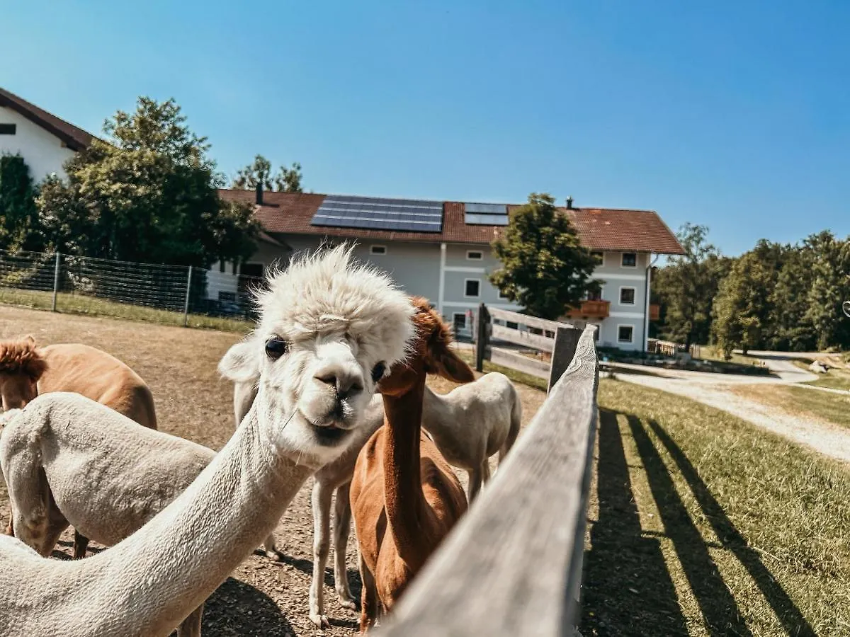 Ferienhof Petermuehle Urlaub Mit Alpakas Amerang