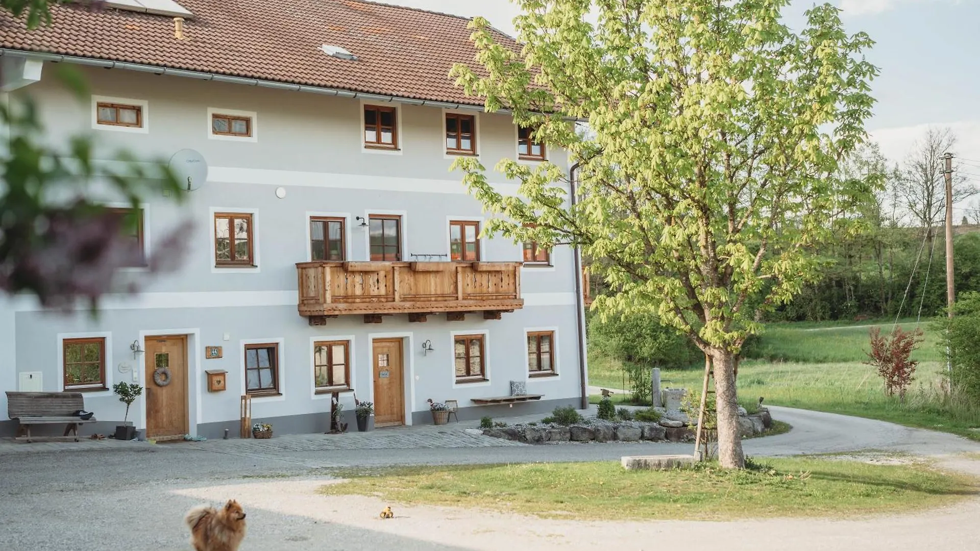 Apartment Ferienhof Petermuehle Urlaub Mit Alpakas Amerang