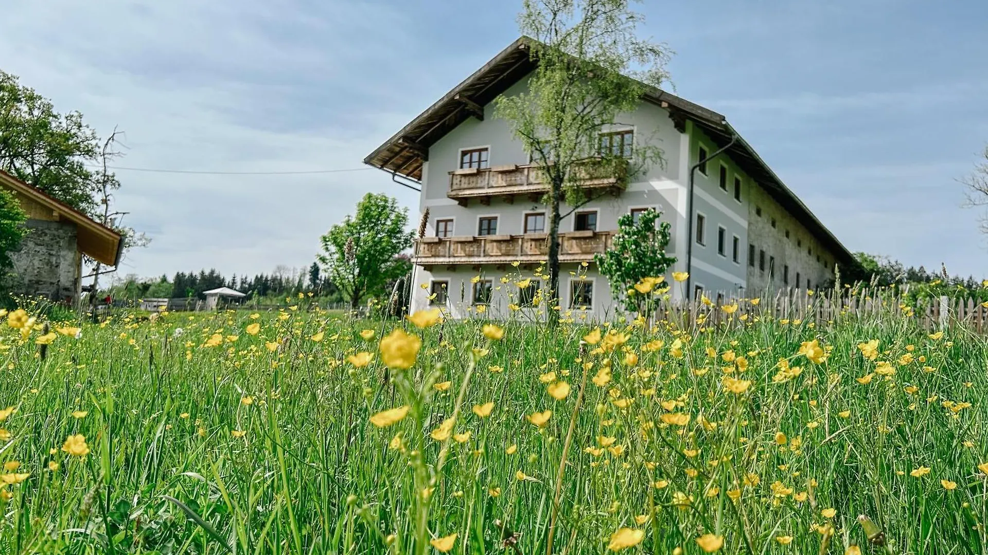 Ferienhof Petermuehle Urlaub Mit Alpakas Amerang Germany